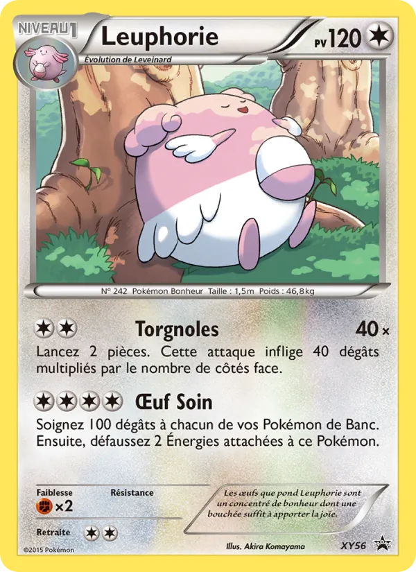 Leuphorie, Promo XY XY56