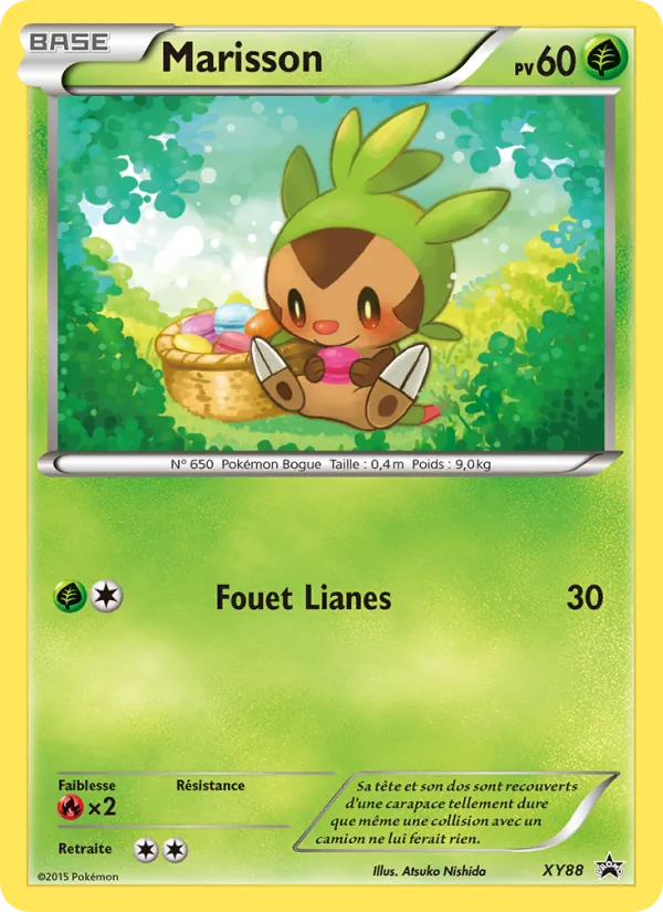 Marisson, Promo XY XY88