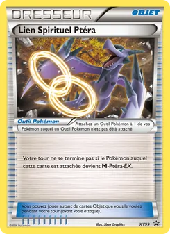 Lien Spirituel Ptéra, Promo XY XY99